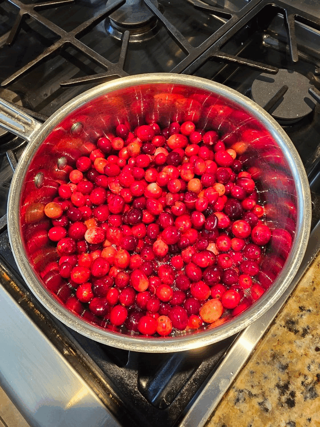 Homemade Cranberry Sauce - Photo 3
